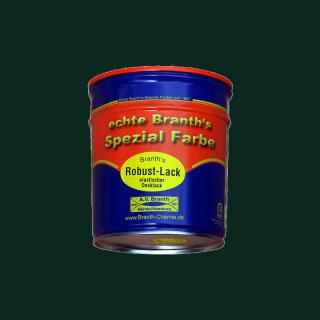 Branths Robust paint (asciugatura rapida) può 0,75 l verde muschio RAL 6005