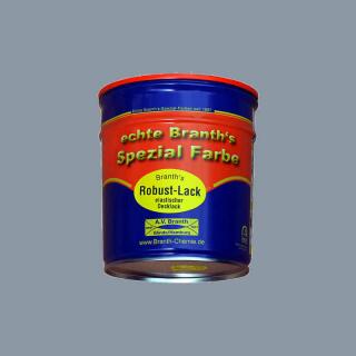 Branths Robust paint (asciugatura rapida) può 0,75 l grigio argento RAL 7001