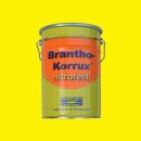Brantho Korrux "nitrofest" contenitore da 5 litri colza giallo RAL 1021